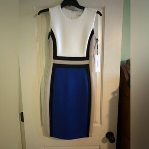 Calvin Klein color block dress